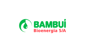 Logo Bambuí Bioenergia