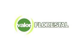 Logo Valor Florestal